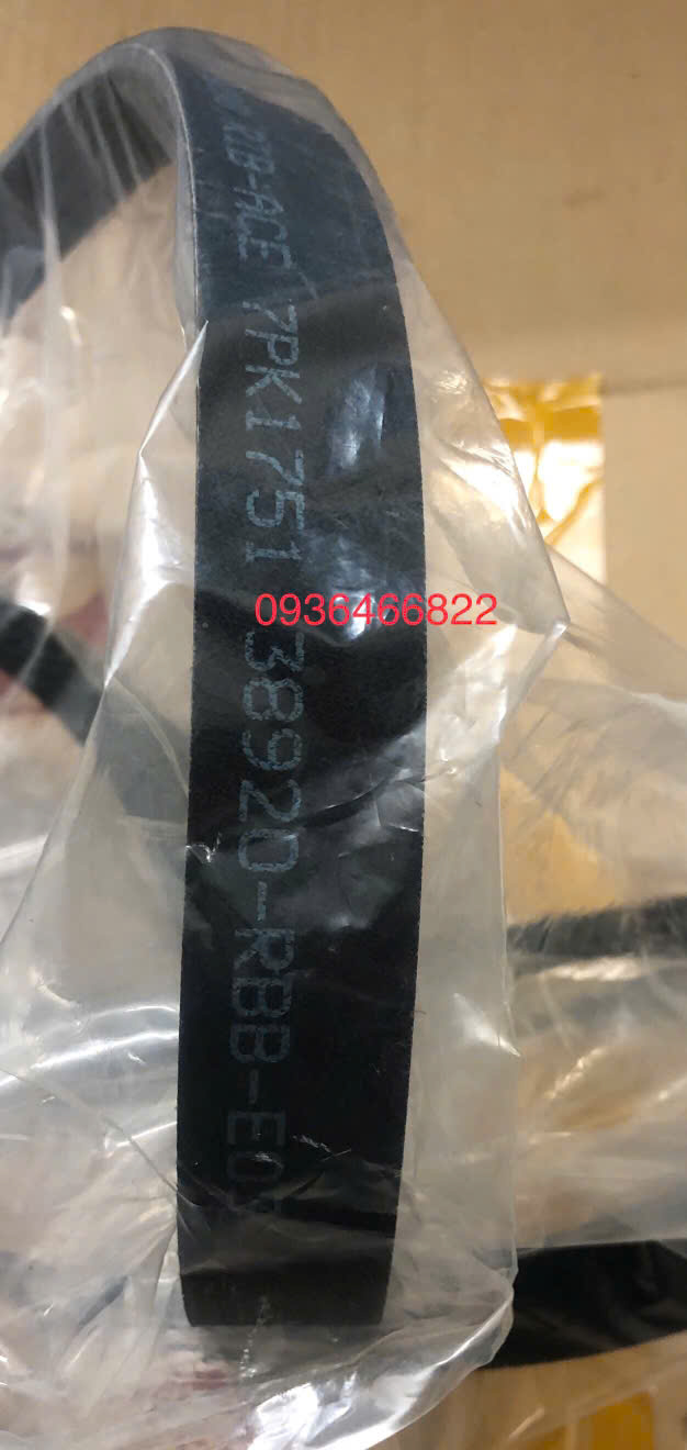 z7412375735196_82782d7bab08fbc670dcafec30166571